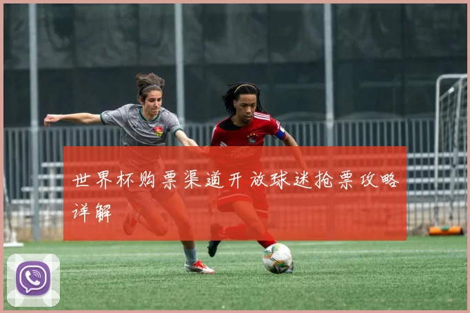 世界杯购票渠道开放球迷抢票攻略详解