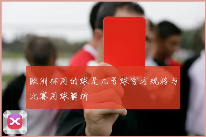 欧洲杯用的球是几号球官方规格与比赛用球解析