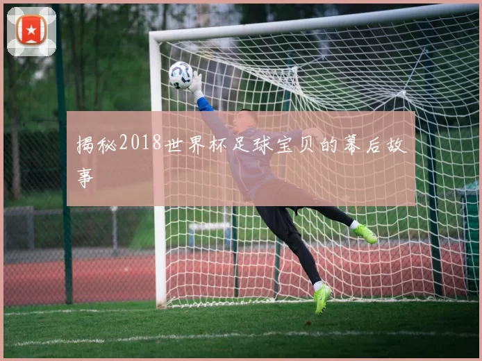 揭秘2018世界杯足球宝贝的幕后故事