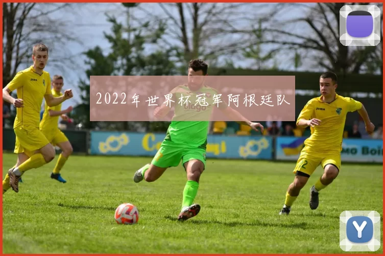 2022年世界杯冠军阿根廷队