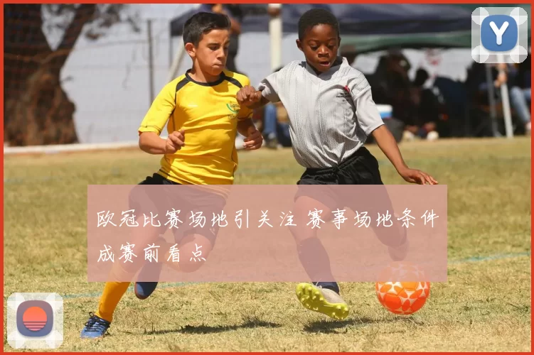 欧冠比赛场地引关注 赛事场地条件成赛前看点