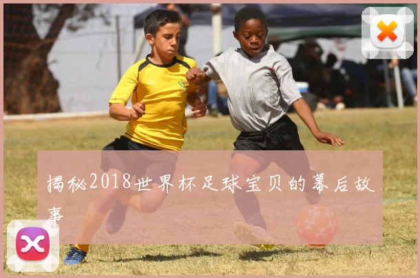 揭秘2018世界杯足球宝贝的幕后故事