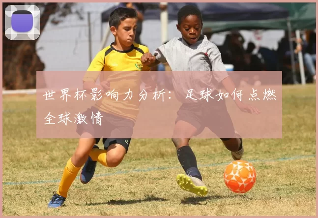 世界杯影响力分析：足球如何点燃全球激情