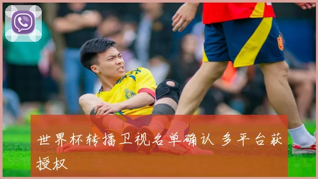 世界杯转播卫视名单确认 多平台获授权
