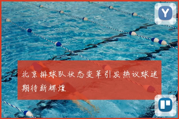 北京排球队状态变革引发热议球迷期待新辉煌